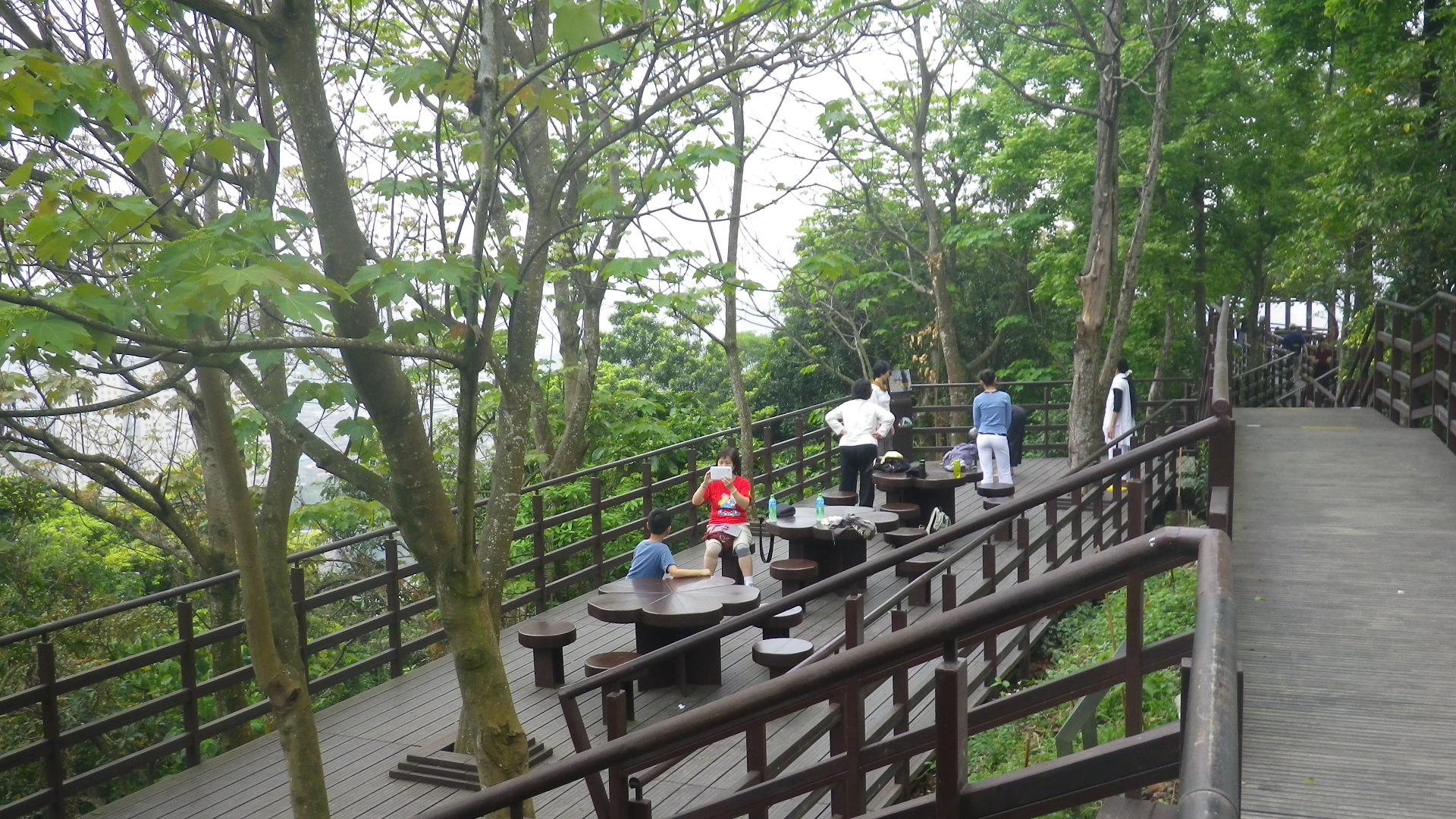 附圖2 仙跡岩出遊走春好去處