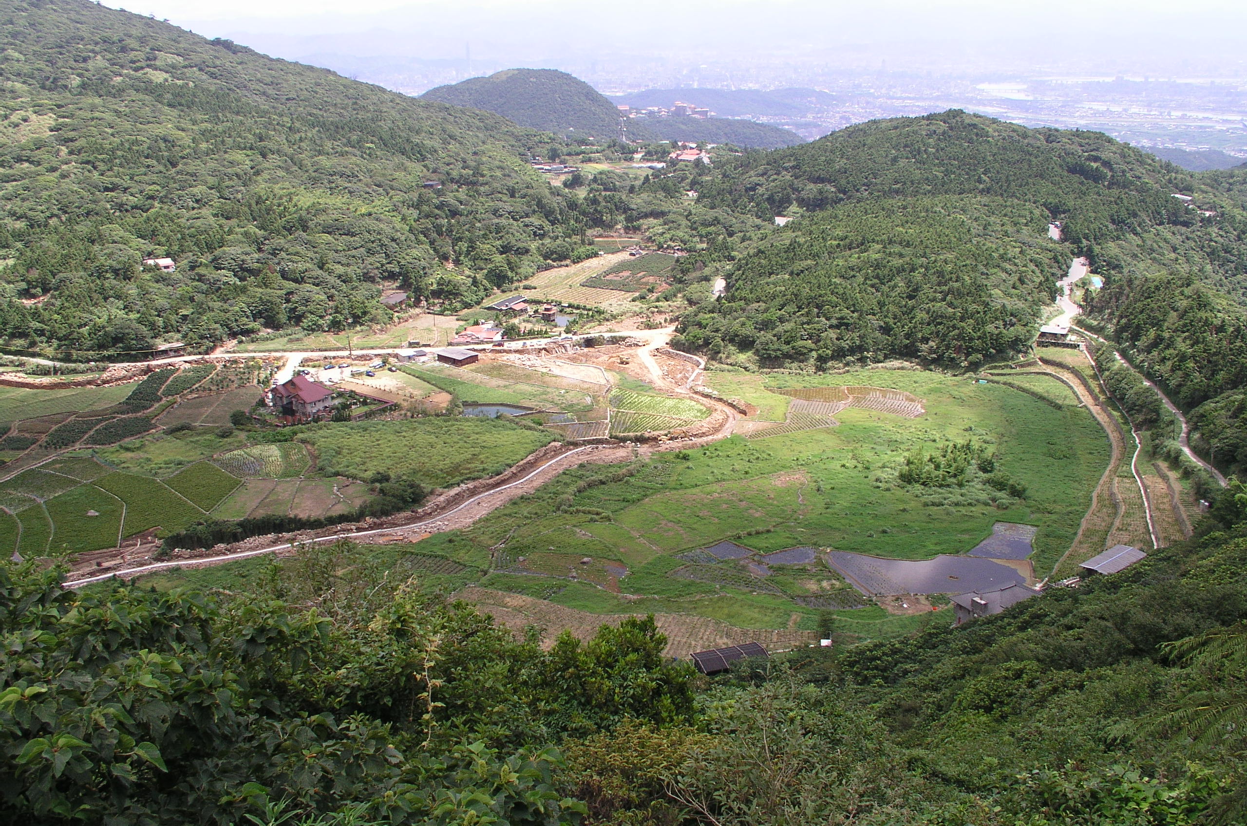 竹子湖梯田濕地環境
