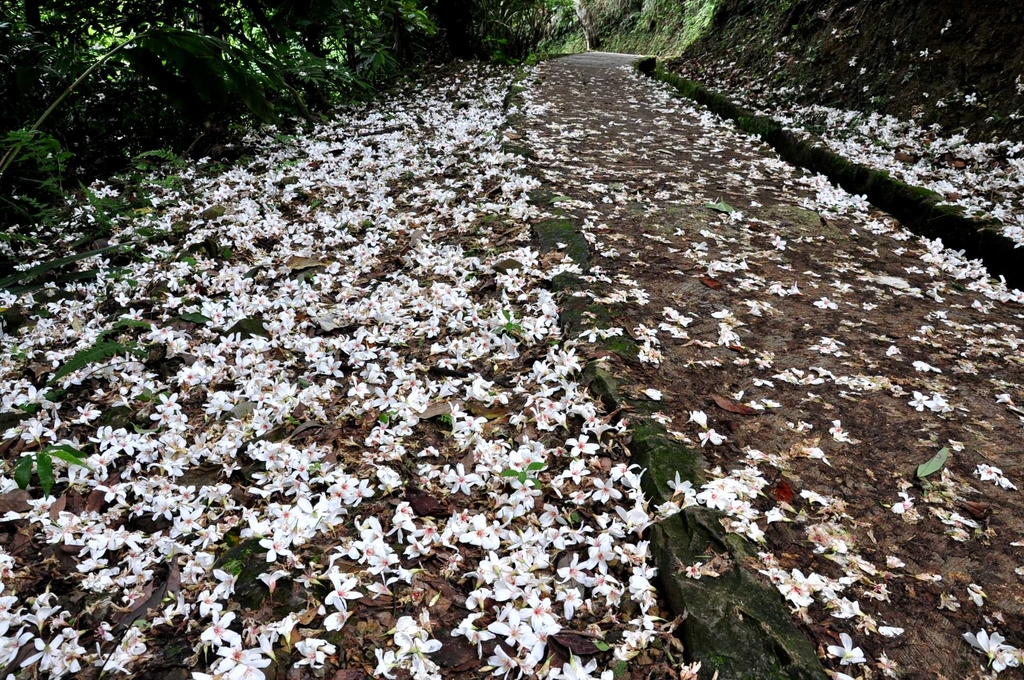 樟湖步道
