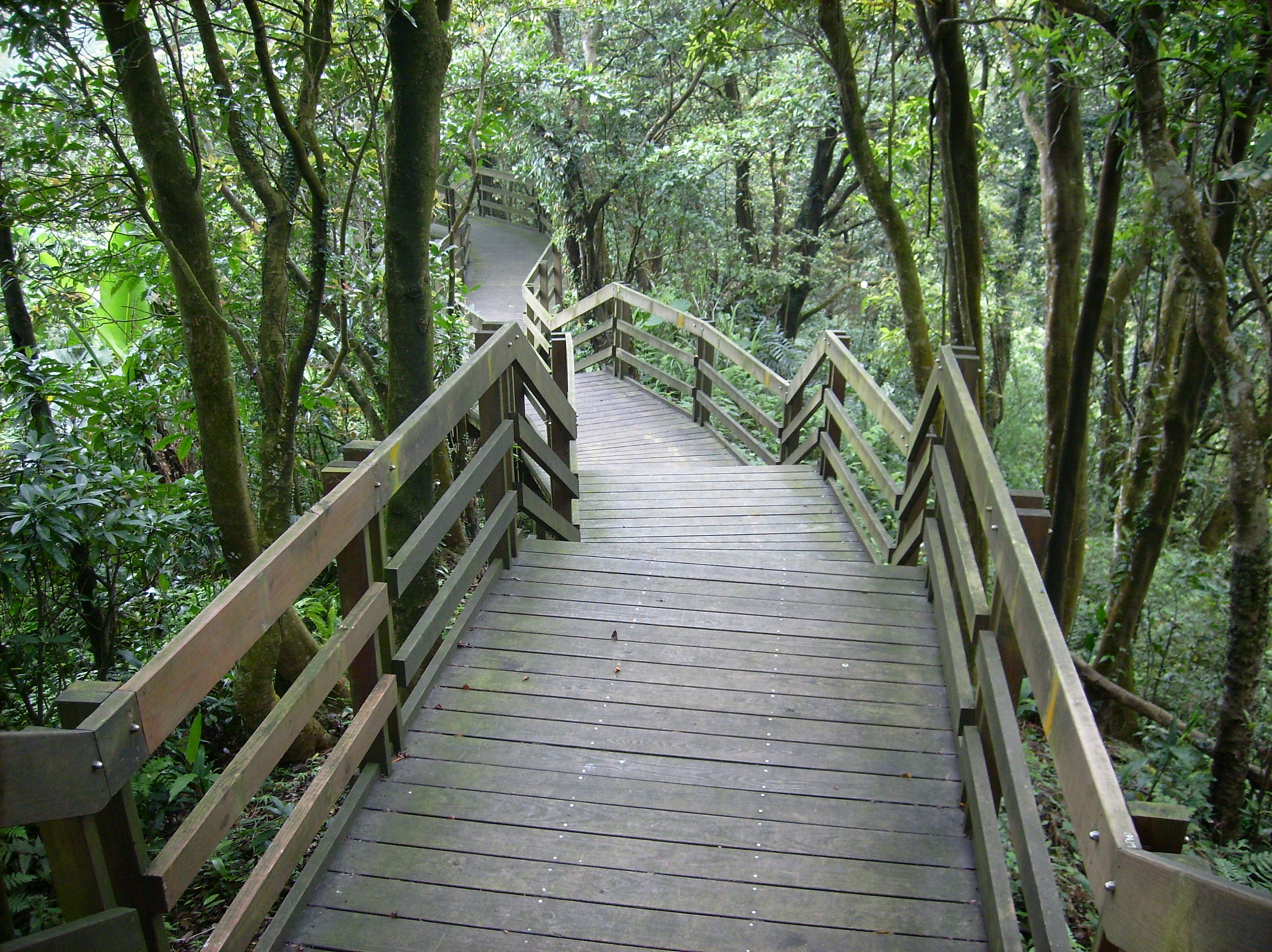 環山步道