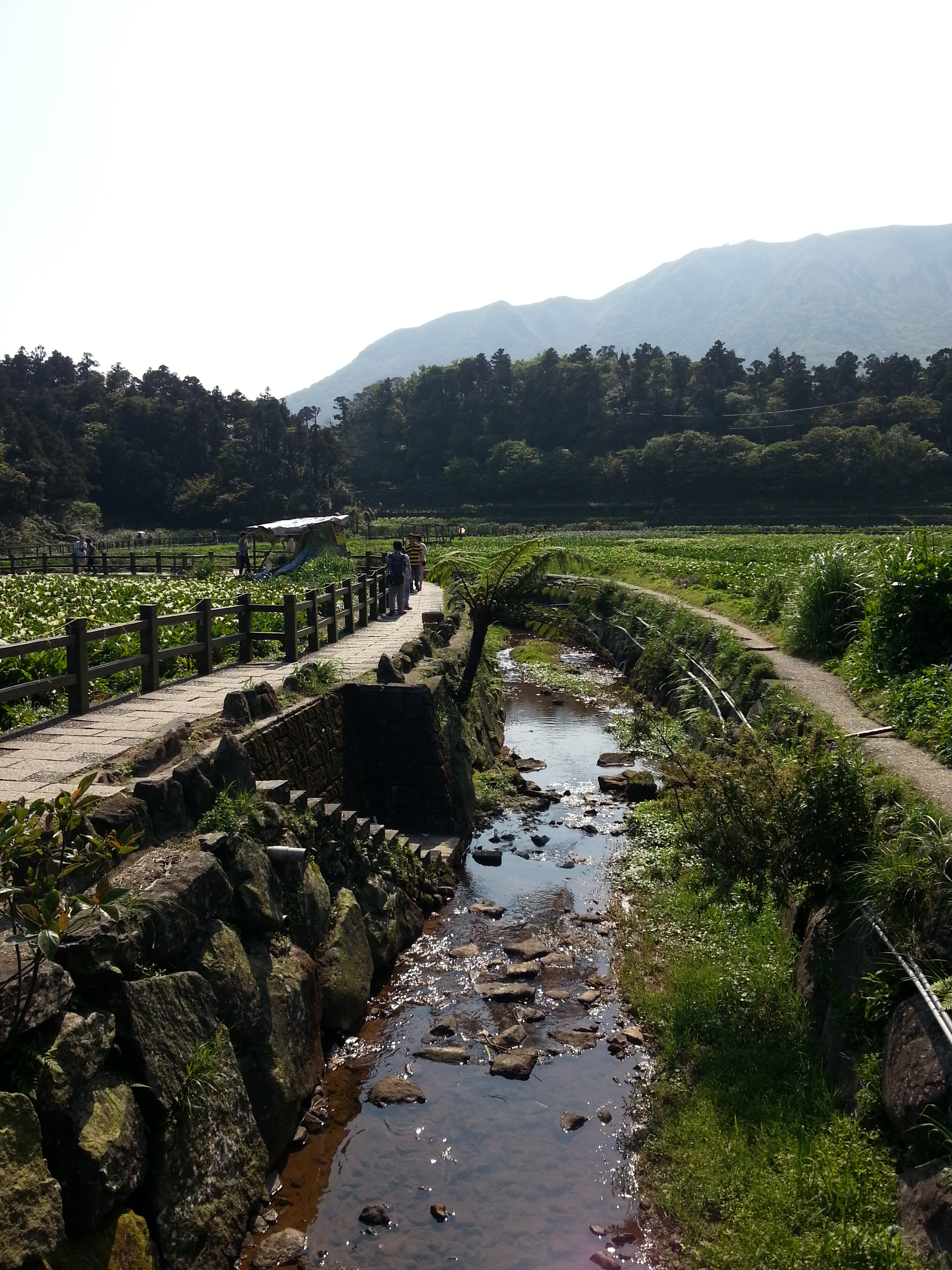 陽明溪畔步道景緻優美
