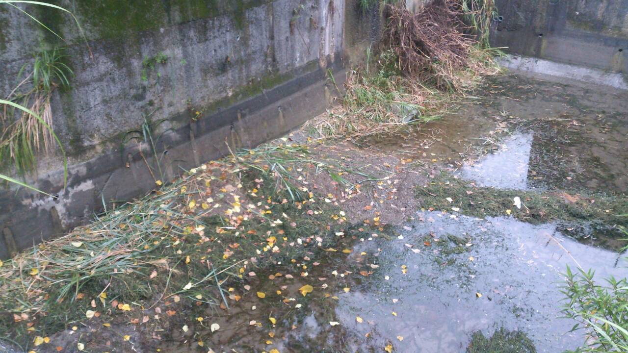 照片1 文山區政大一街沉砂池清淤及除草情形(清淤前)