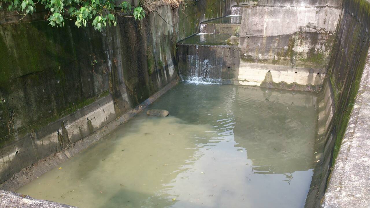 照片5文山區政大一街沉砂池沉砂池清淤及除草情形(清淤後)