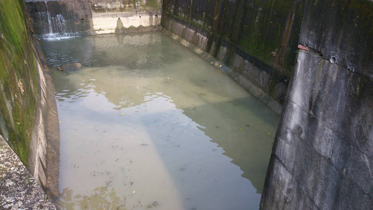 照片6文山區政大一街沉砂池沉砂池清淤及除草情形(清淤後)
