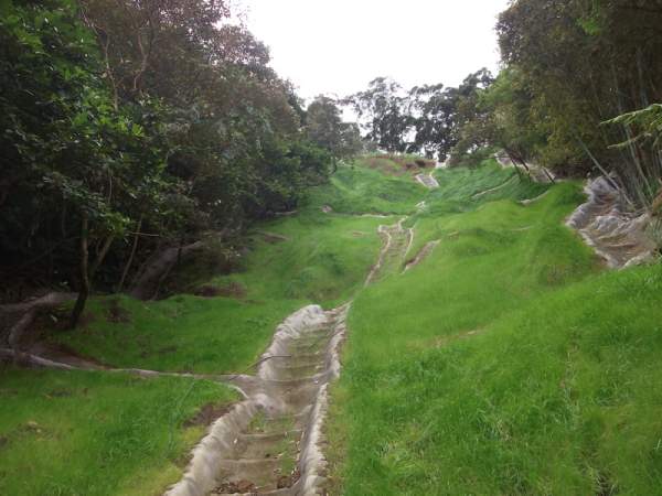 復建工程-上游段掛網噴植綠化穩固坡面