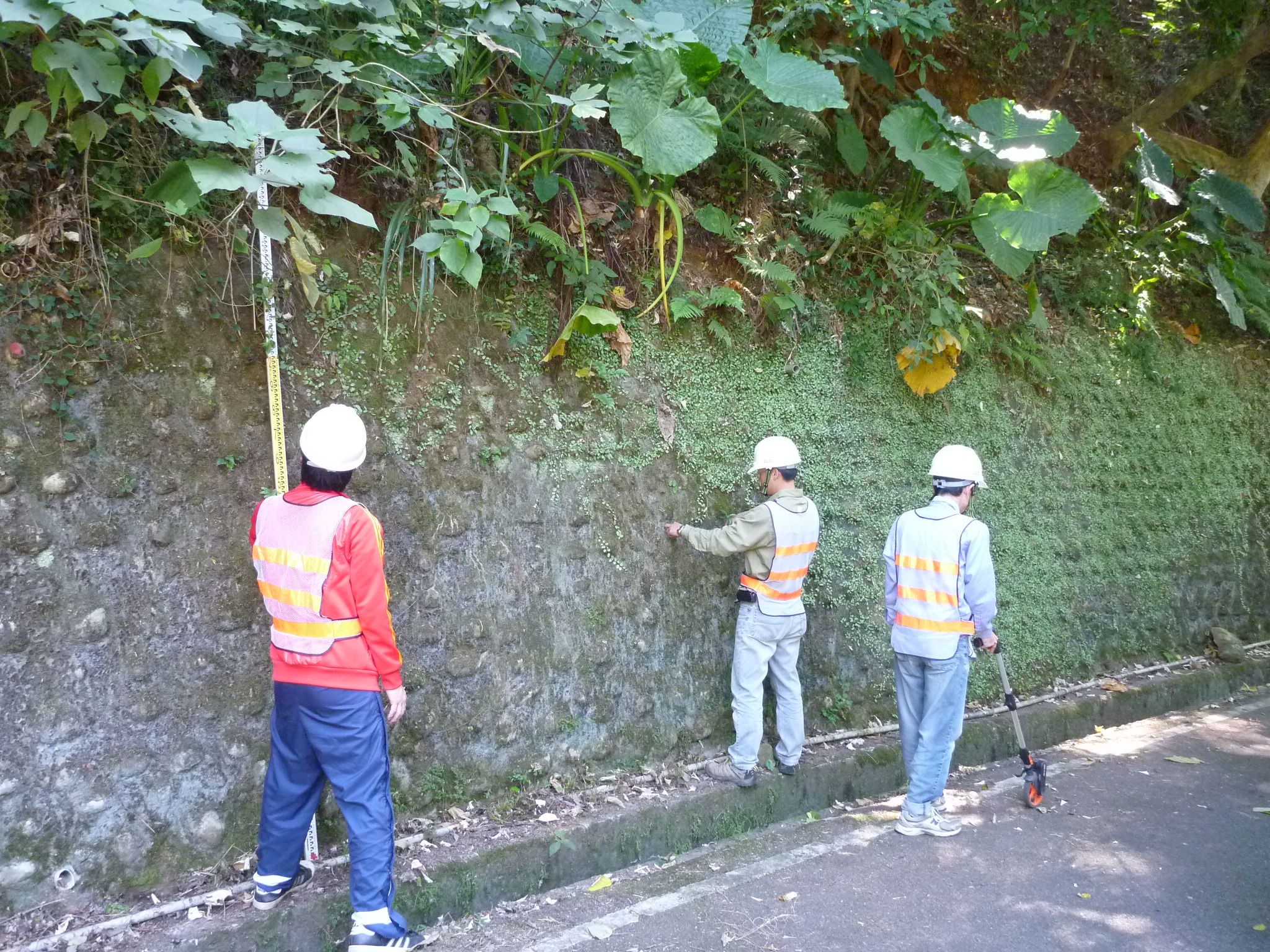 大地處辦理本市山坡地擋土牆調查建檔工作