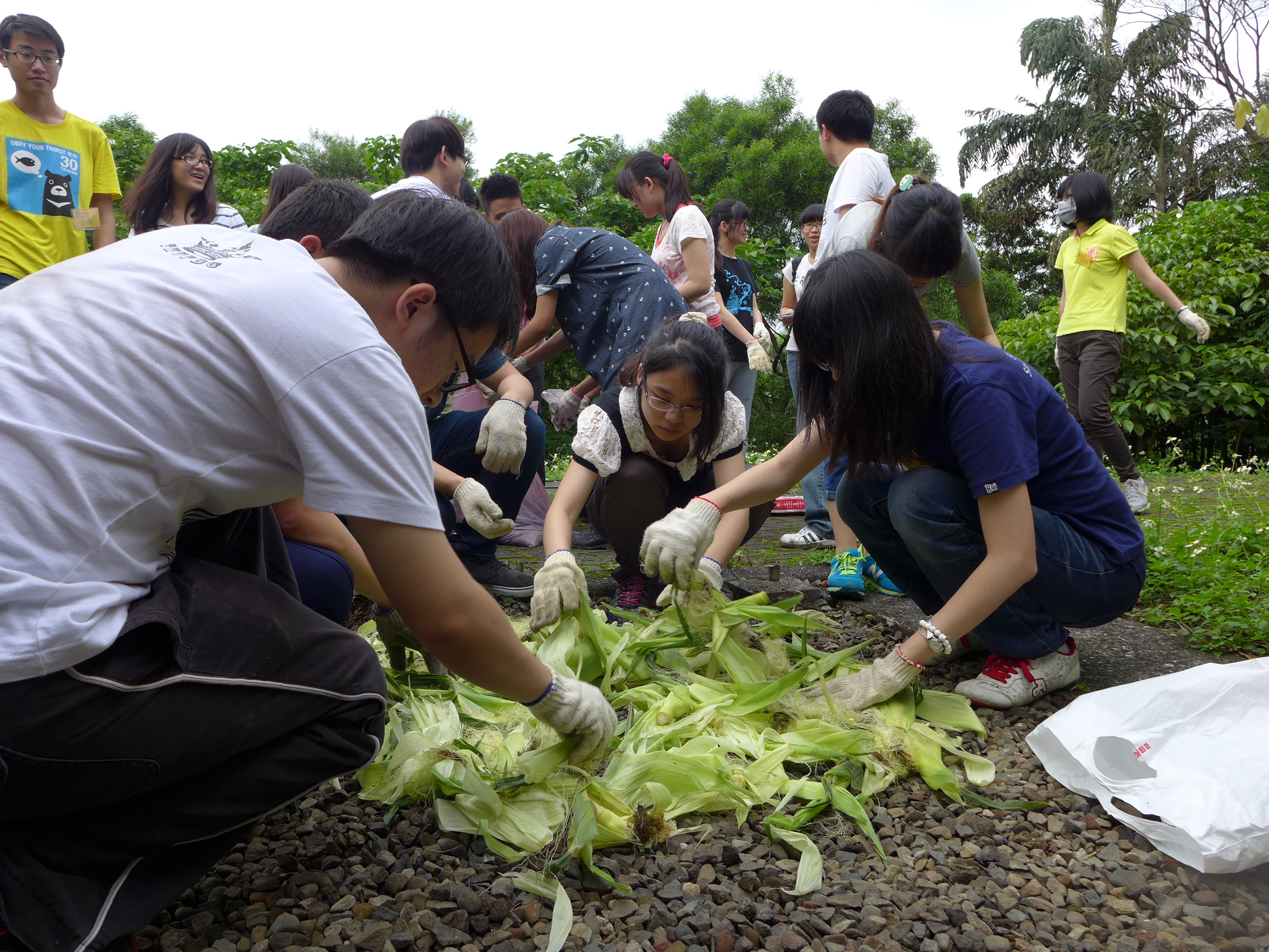 春泥更護花-環教課程花絮