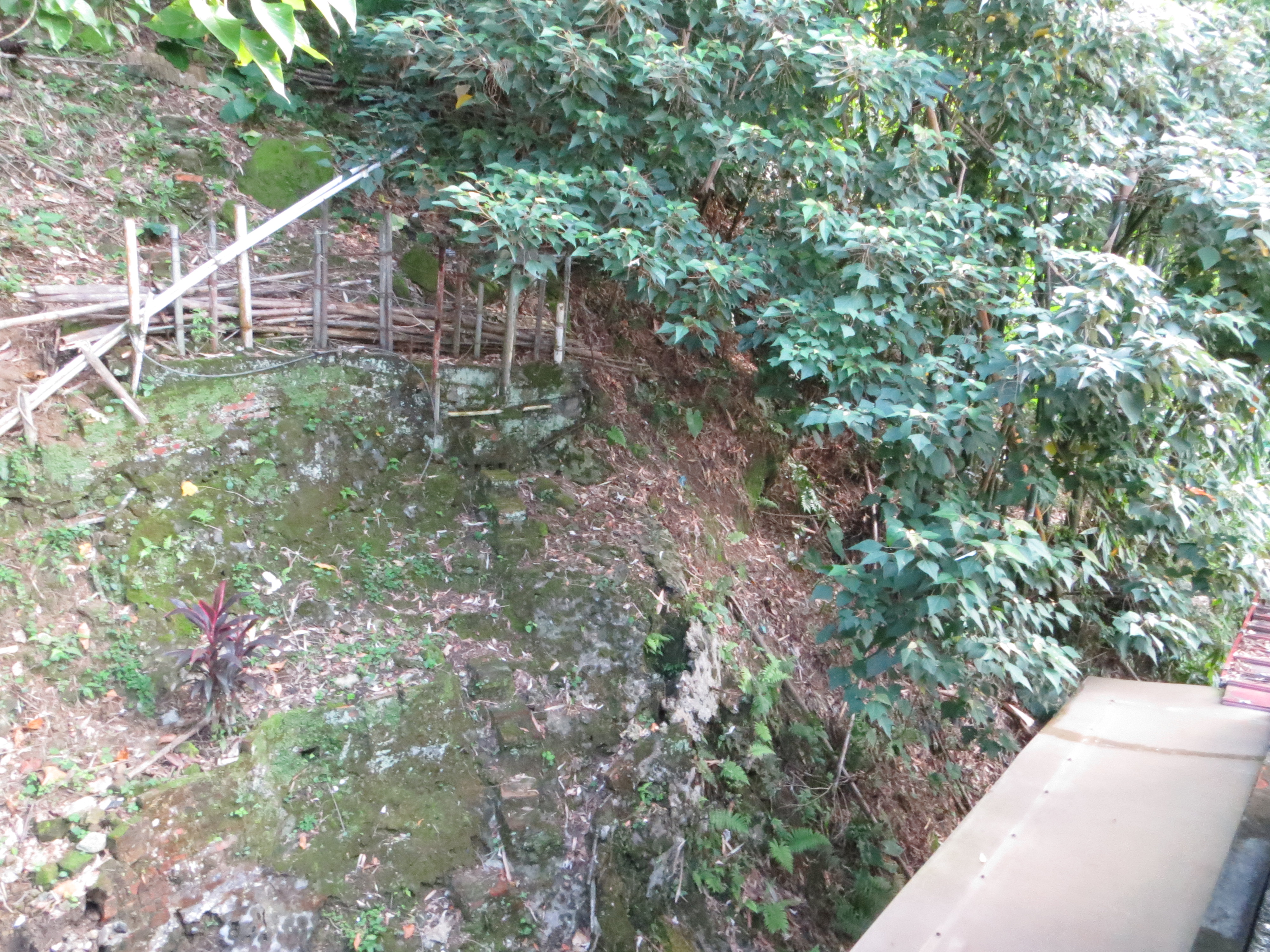 坡地防颱要領三：檢視坡面有無浮石雜物，並進行移除