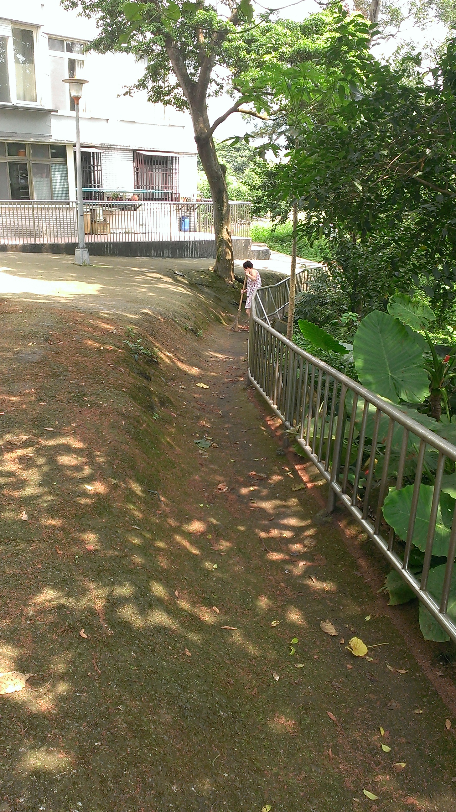 坡地防颱要領一：清理周遭排水溝或排水管