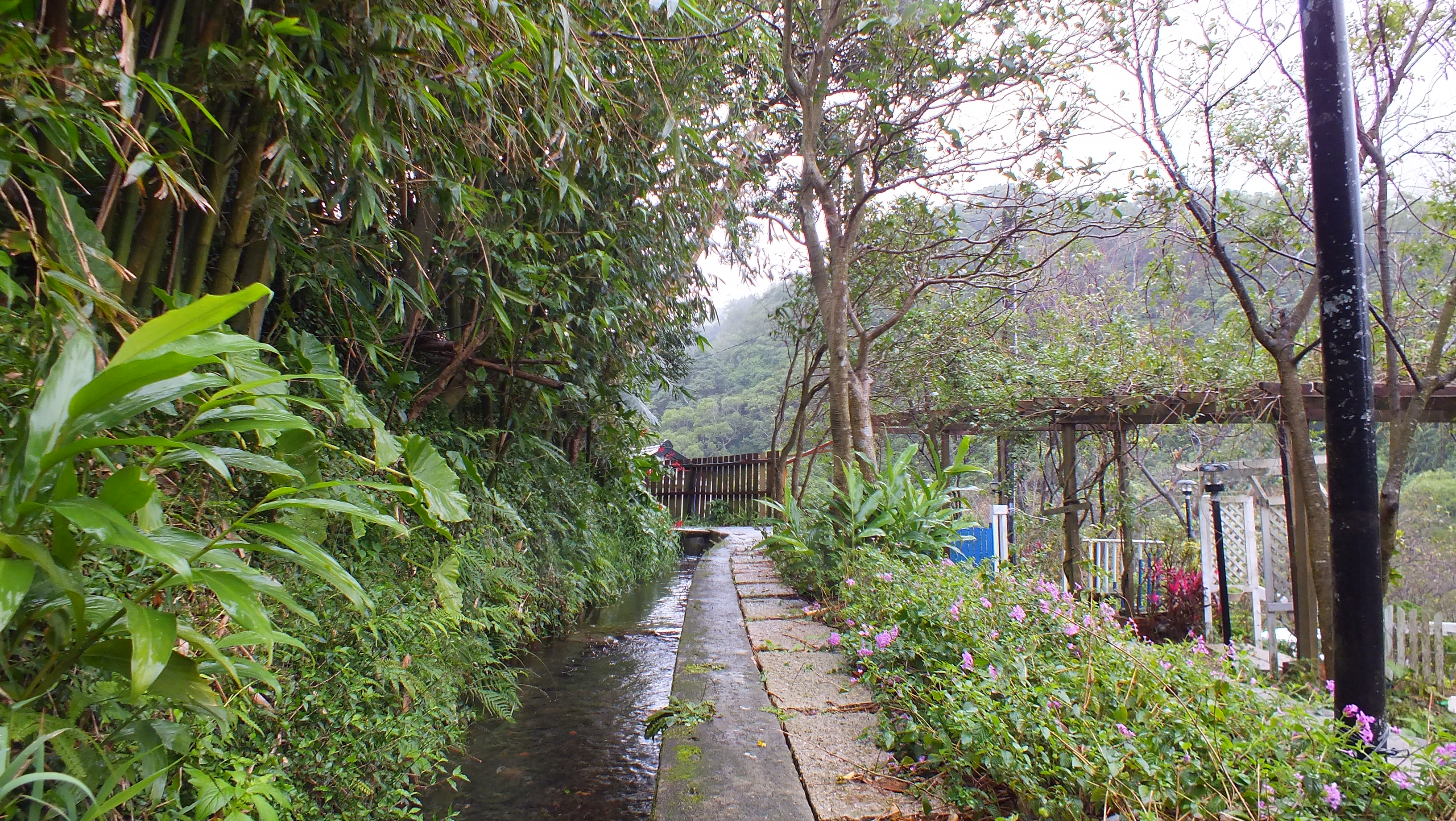 道路沿線清澈的菁礐水圳