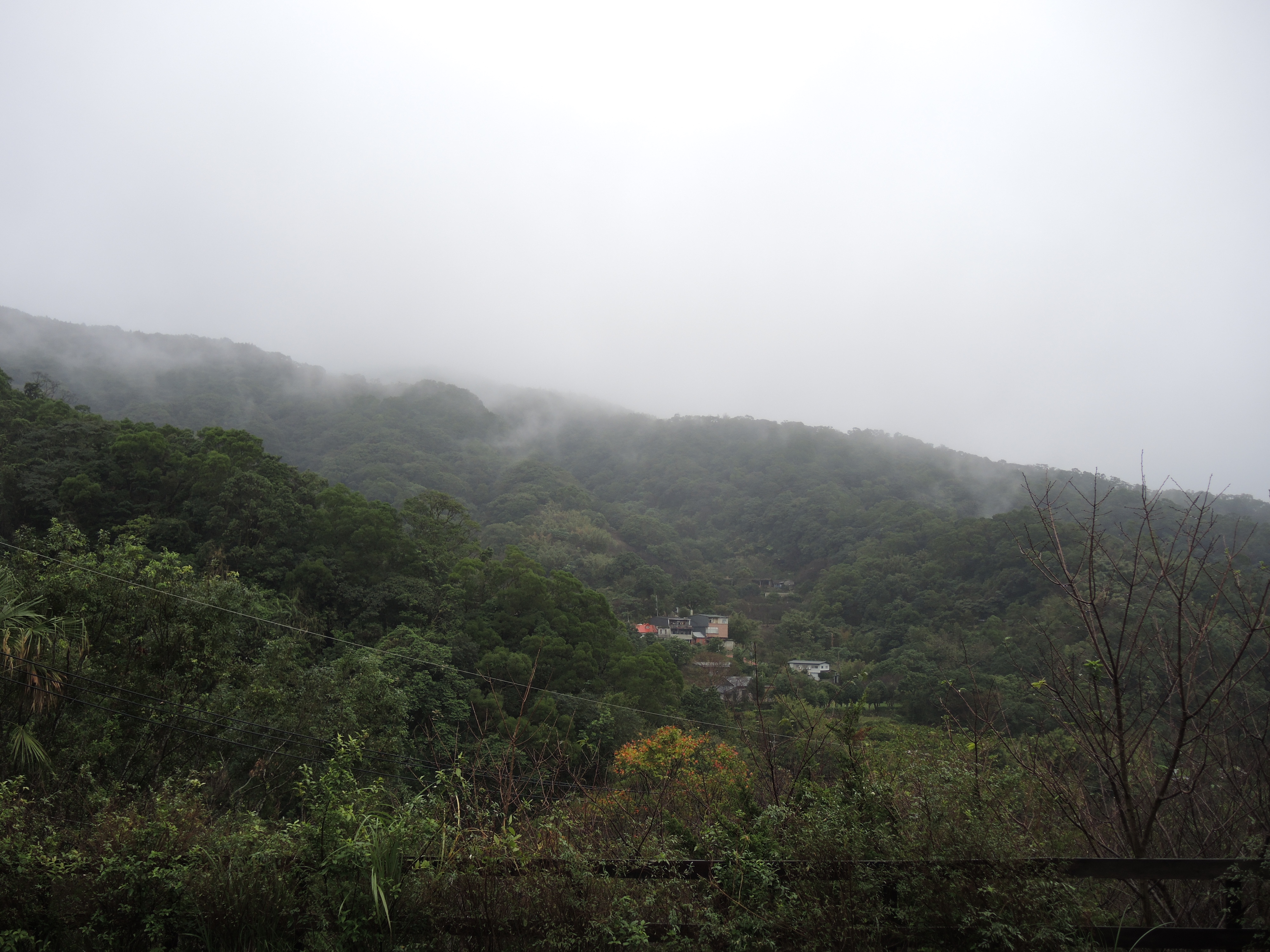 菁礐水圳沿線飄渺朦朧的美麗山景