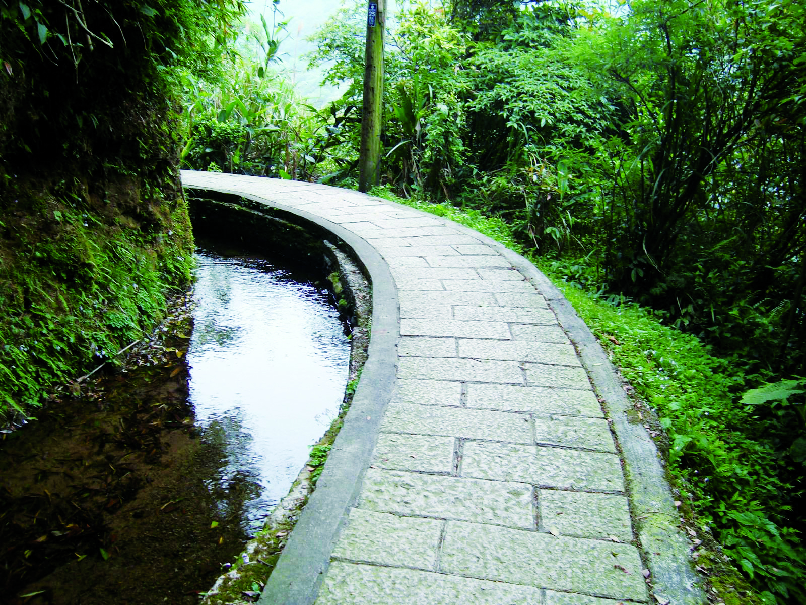 坪頂古圳步道溪水清澈
