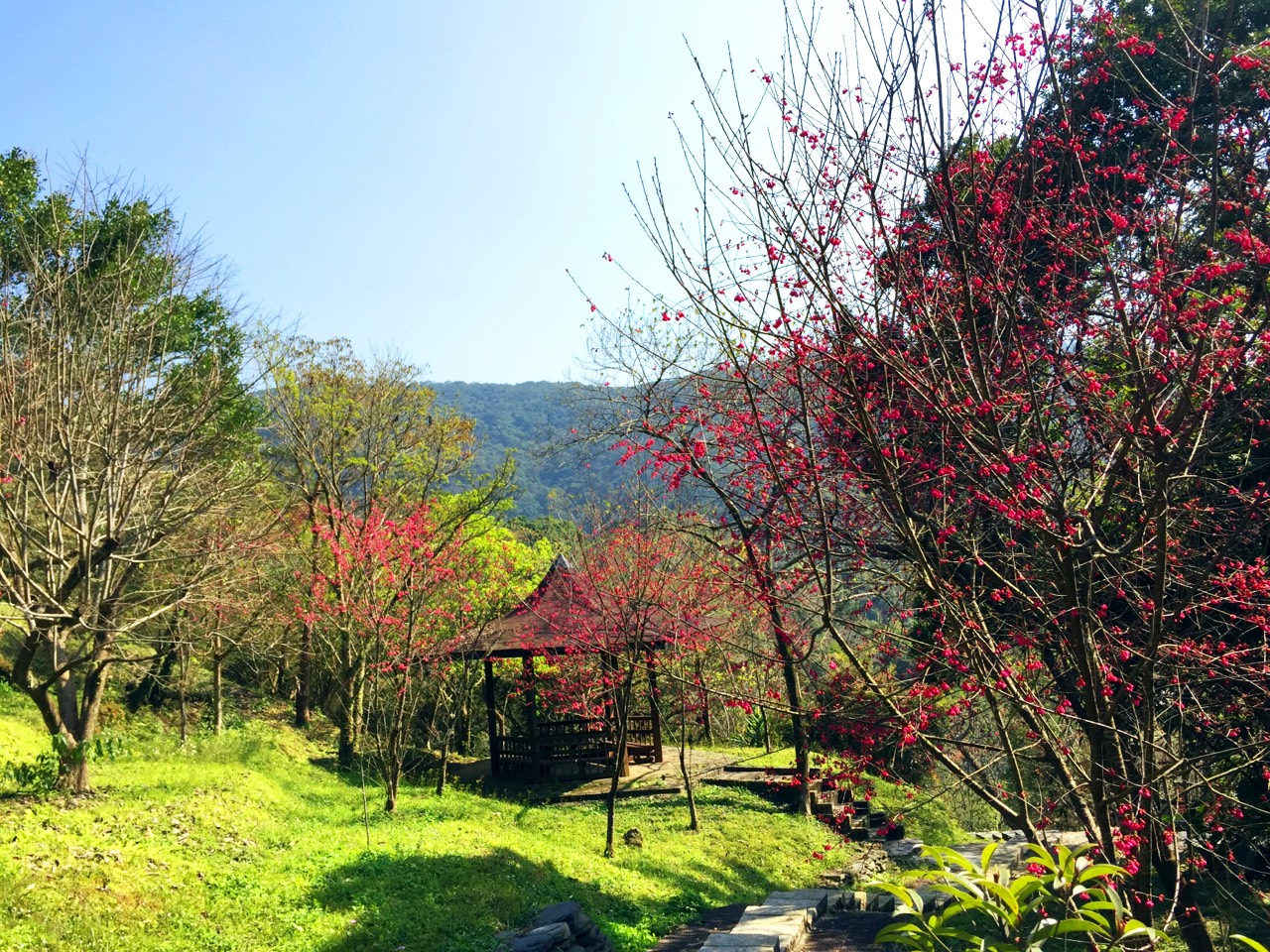 迎春納福好趣處