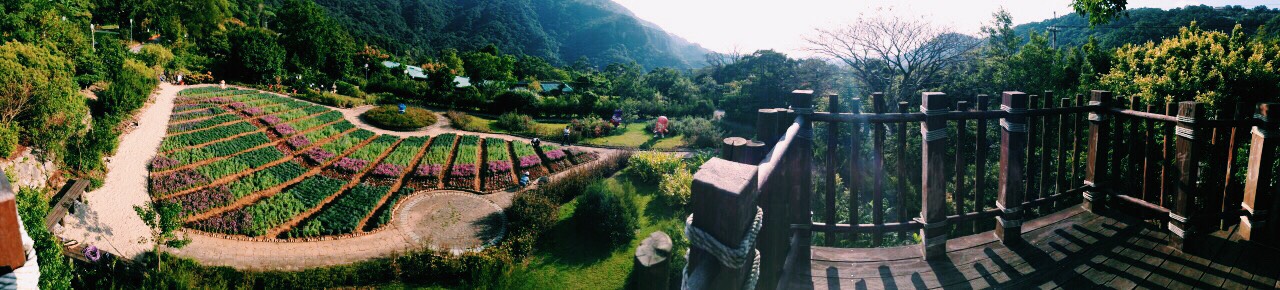 內雙溪自然中心瞭望台全景