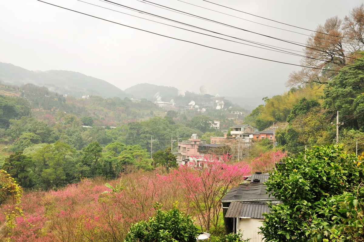 平等里