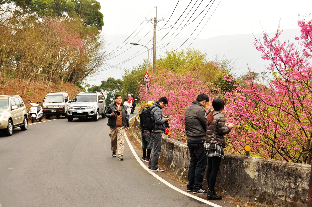 平溪產業道路沿線