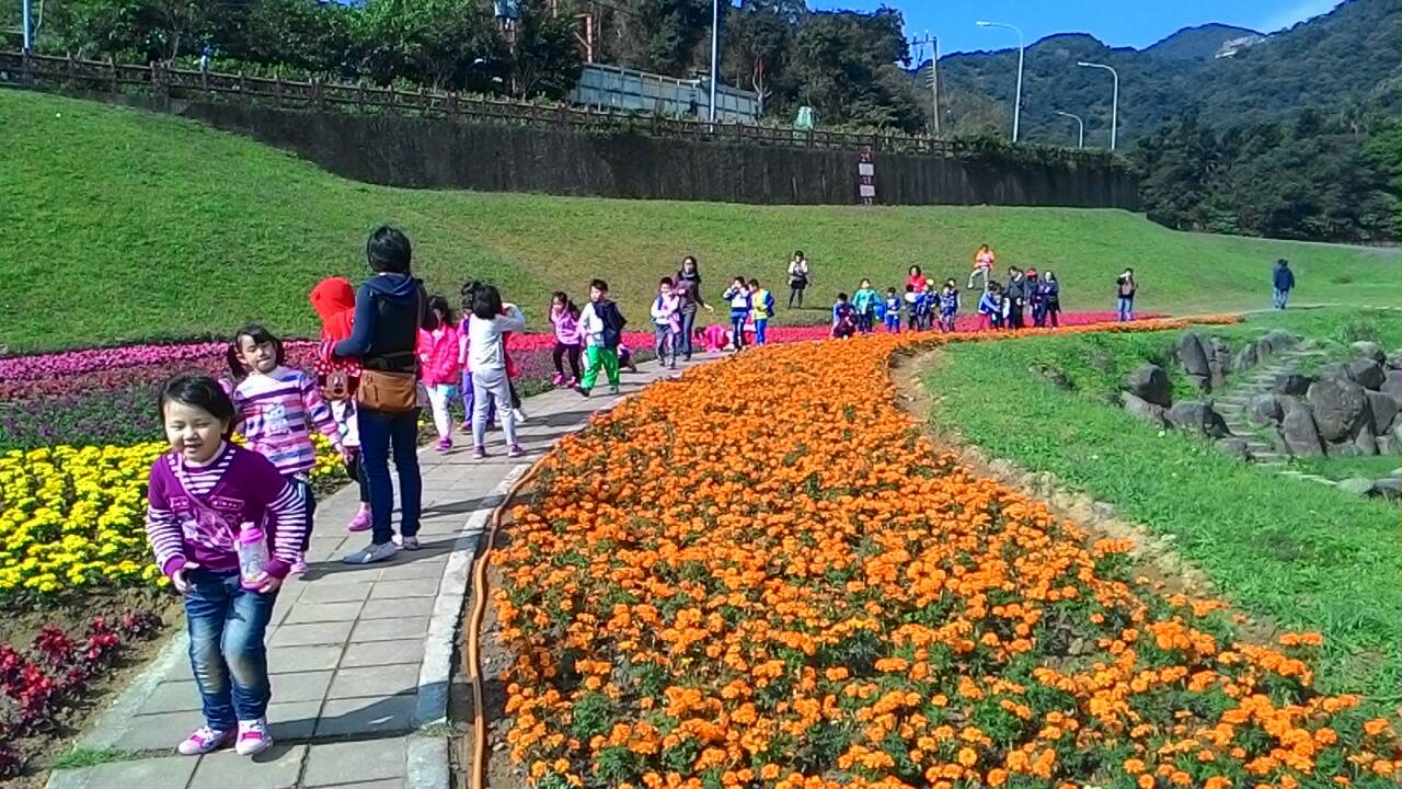 大溝溪親水公園大地花海