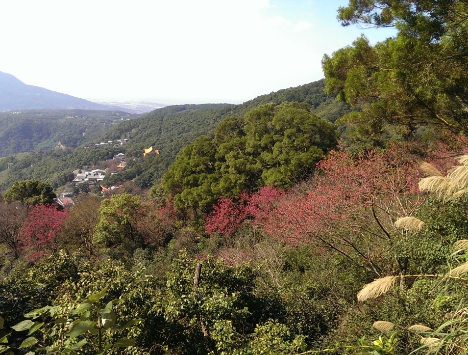 虎山山腰步道