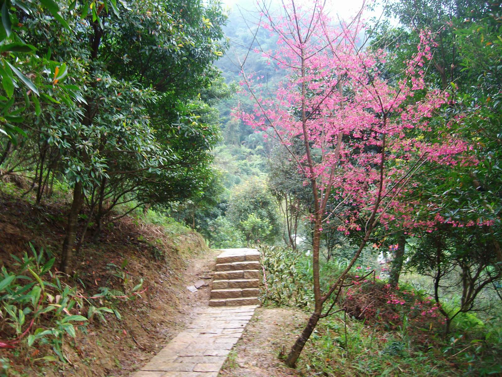 虎山生態步道