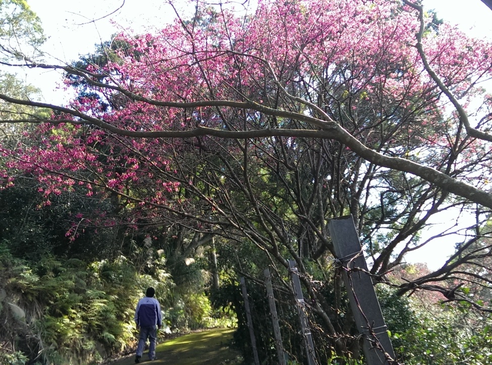 永春寮步道