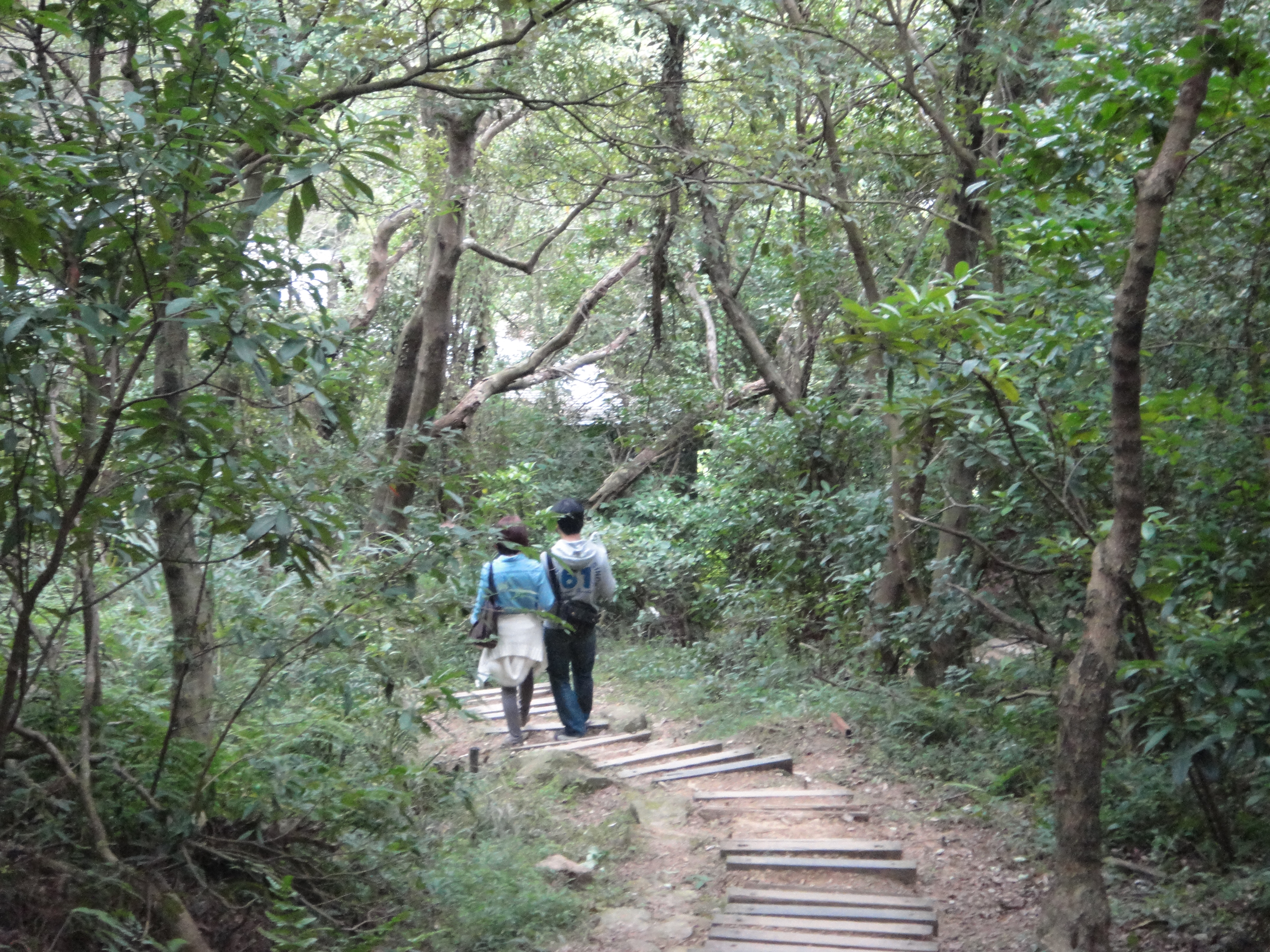 金面山親山步道