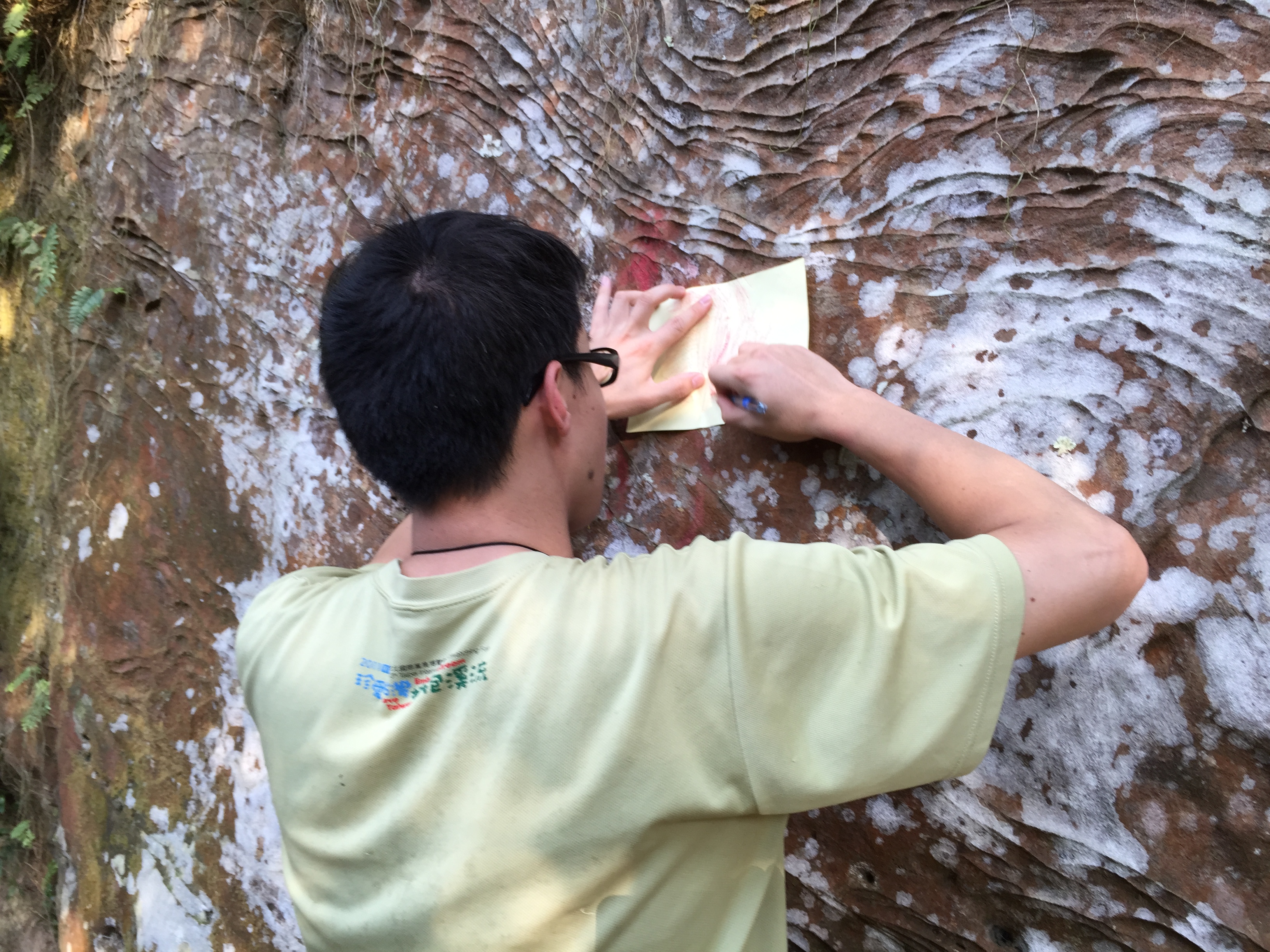 拓染岩石的印記