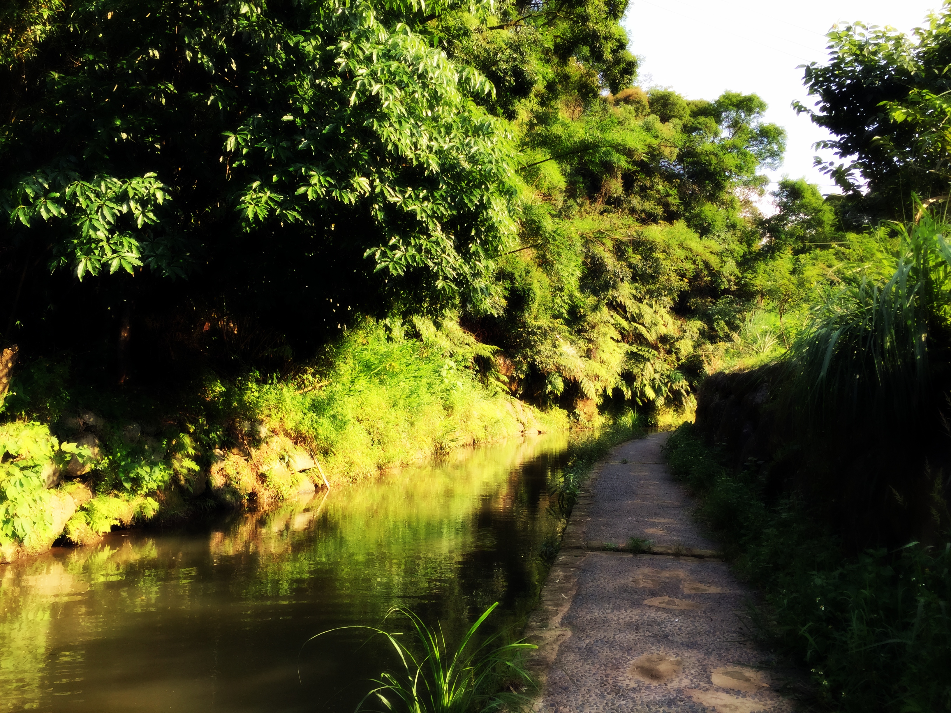 擁有豐富生態資源的內溝溪