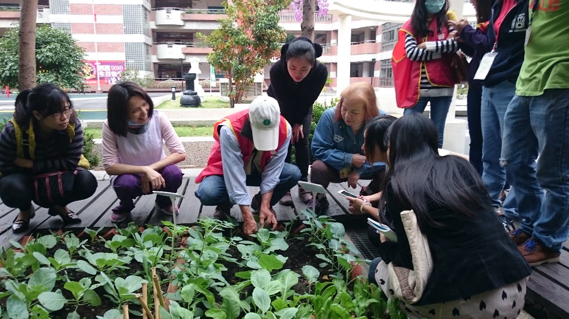 時間：11/3、地點：福星國小、參加人員：9人、農技團人員：詹水源