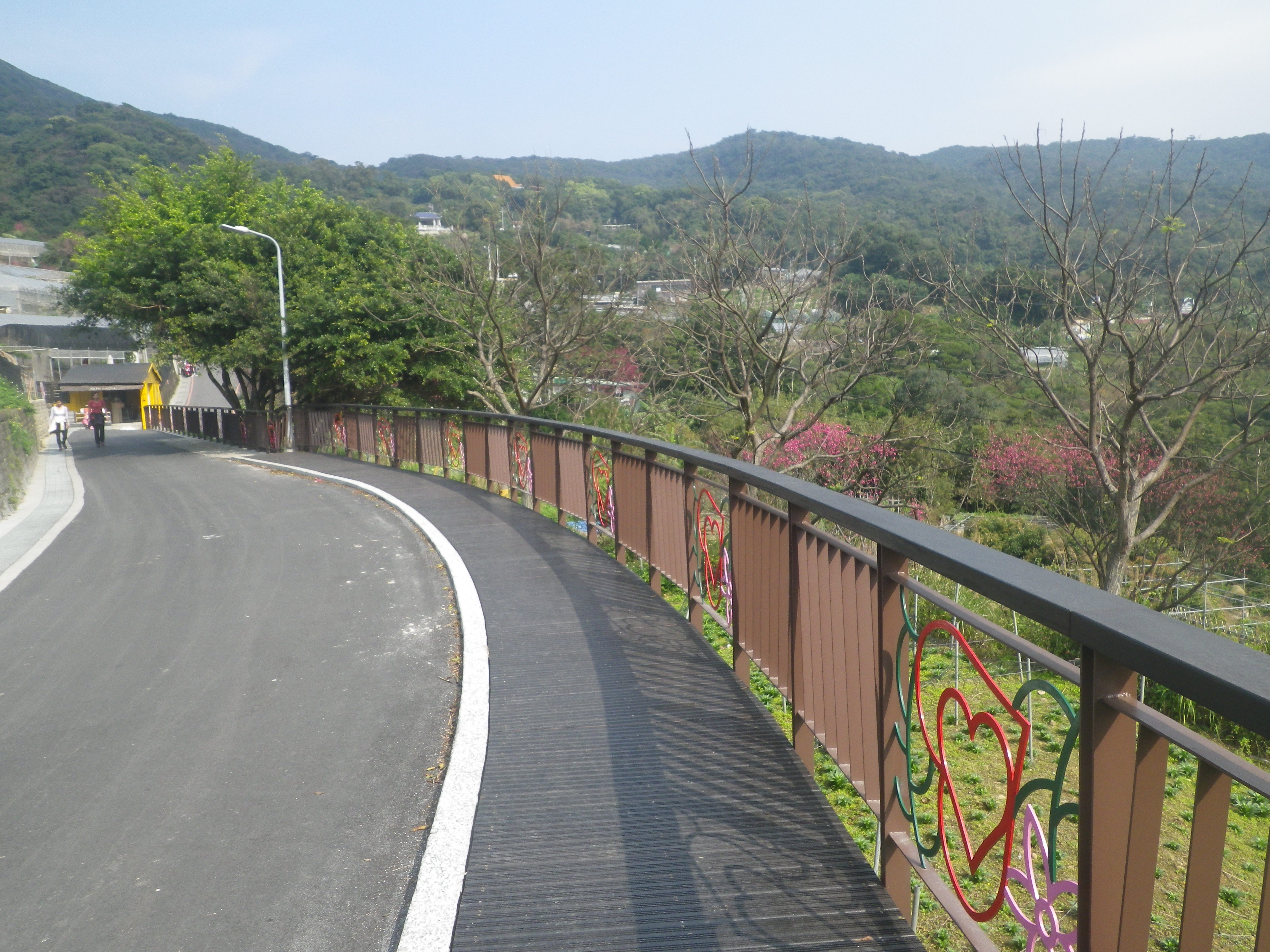 同心池人車分道