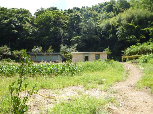 簡易蔭棚與農業資材室棟距約4公尺