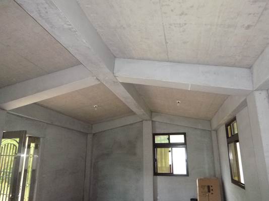 鋼筋混凝土搭建