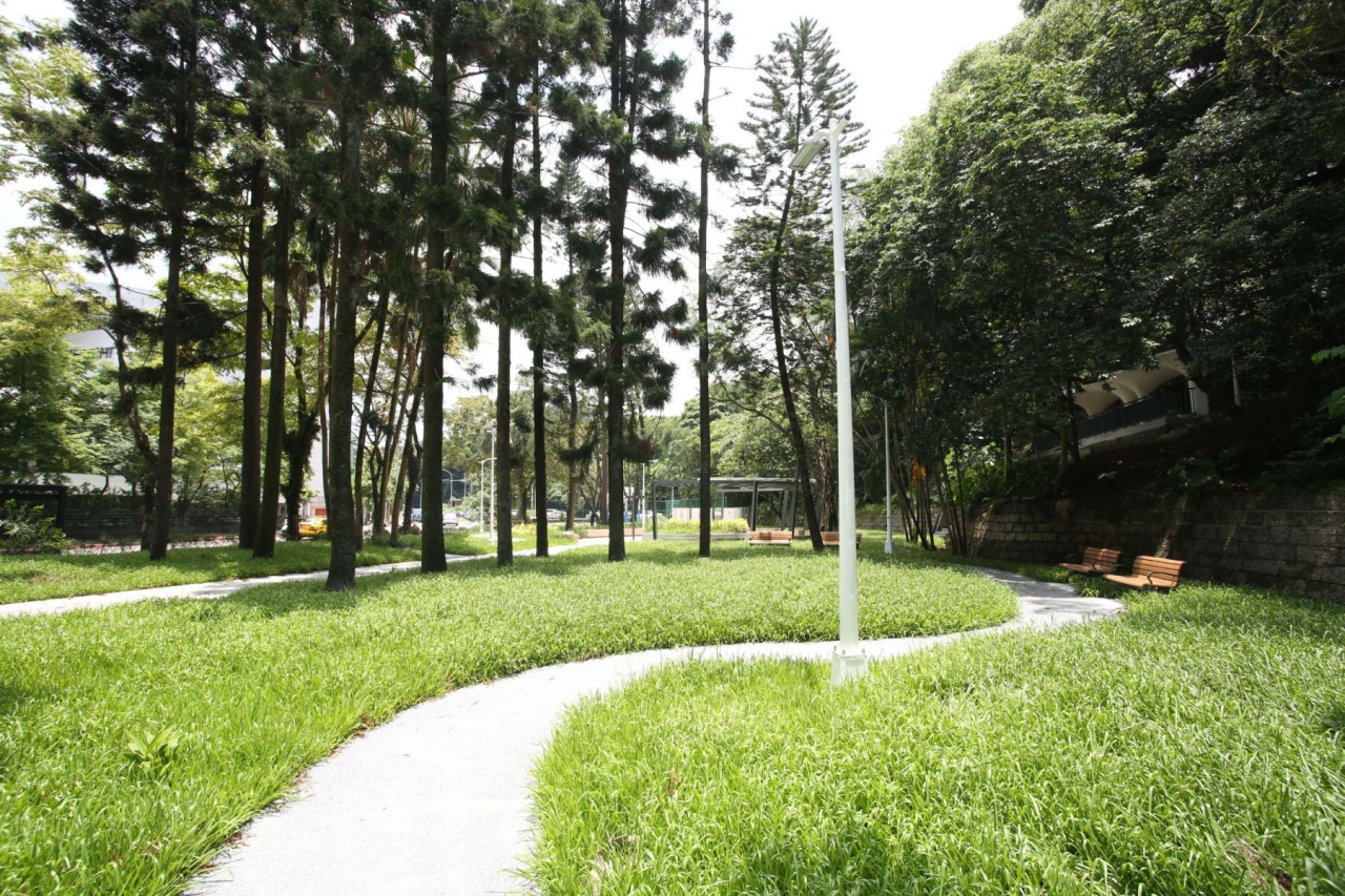 11胡適公園-自由曲線的杉林小徑，隱喻胡適先生感性思想
