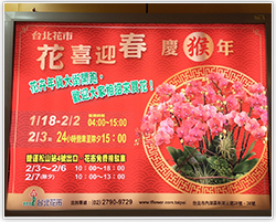 臺北地下街廣告燈箱照片