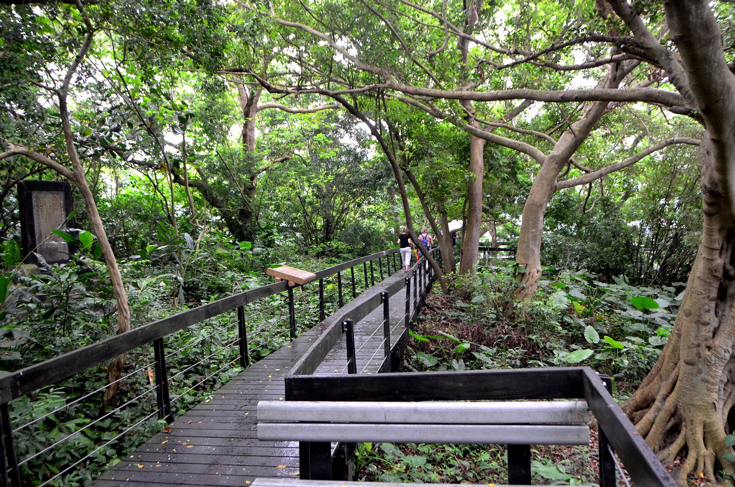 圖9、芝山岩木棧道