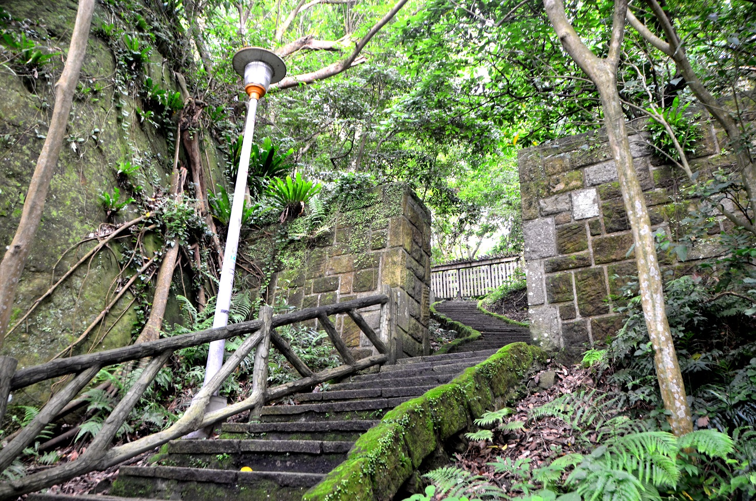圖8、芝山岩石階步道