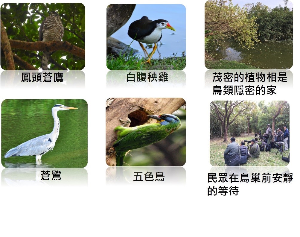棲地復育成果