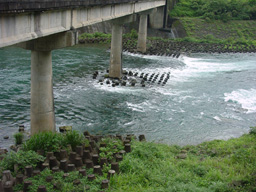 河道整治照片