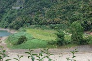 渡南橋植物緩衝帶B1區照片