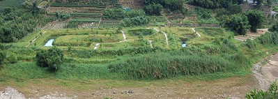 渡南橋人工濕地照片（93年、94年、95年）