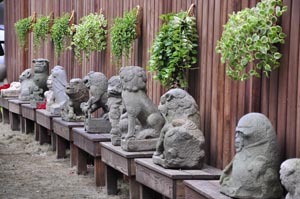 Stone lions sit in the yard in the Japanese style building on Qidong street. (Photos courtesy of Department of Cultural Affairs)