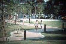 Linear park