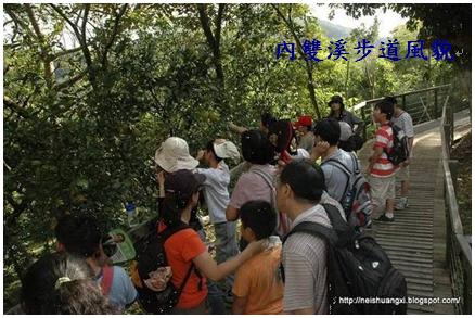 內雙溪步道風貌