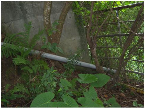 社區原排水系統設置不當，經水管排出之水造成邊坡下方沖蝕，影響住戶安全。