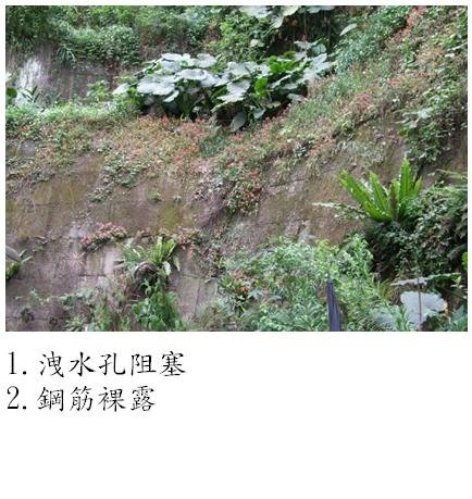 涉及公共安全之人工邊坡修繕-維護前1