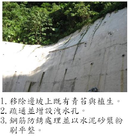 涉及公共安全之人工邊坡修繕-維護後1