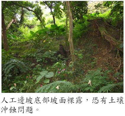 涉及公共安全之人工邊坡修繕-維護前2