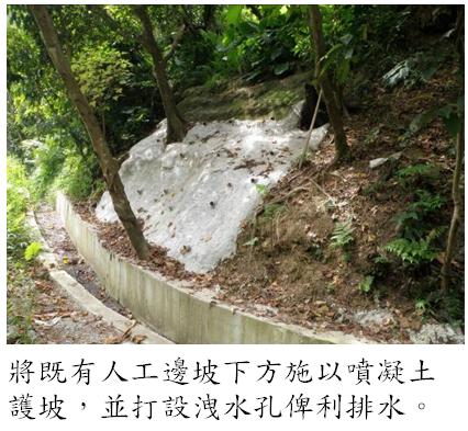 涉及公共安全之人工邊坡修繕-維護後2