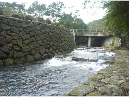 溪澗跳石-青礐溪_照片02