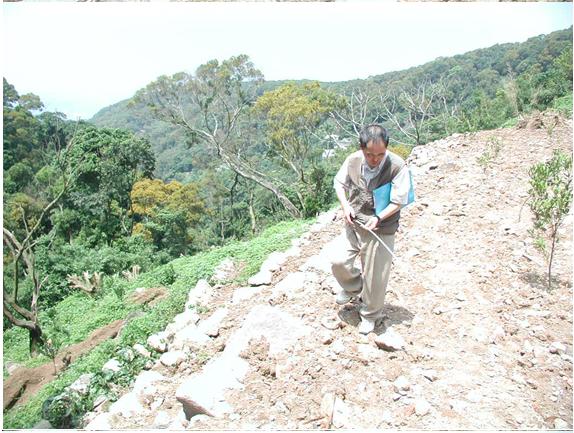 查報員執勤情形