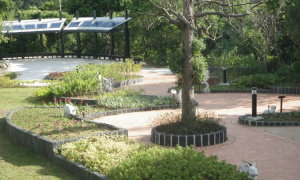 內雙溪自然中心(藥用植物園)